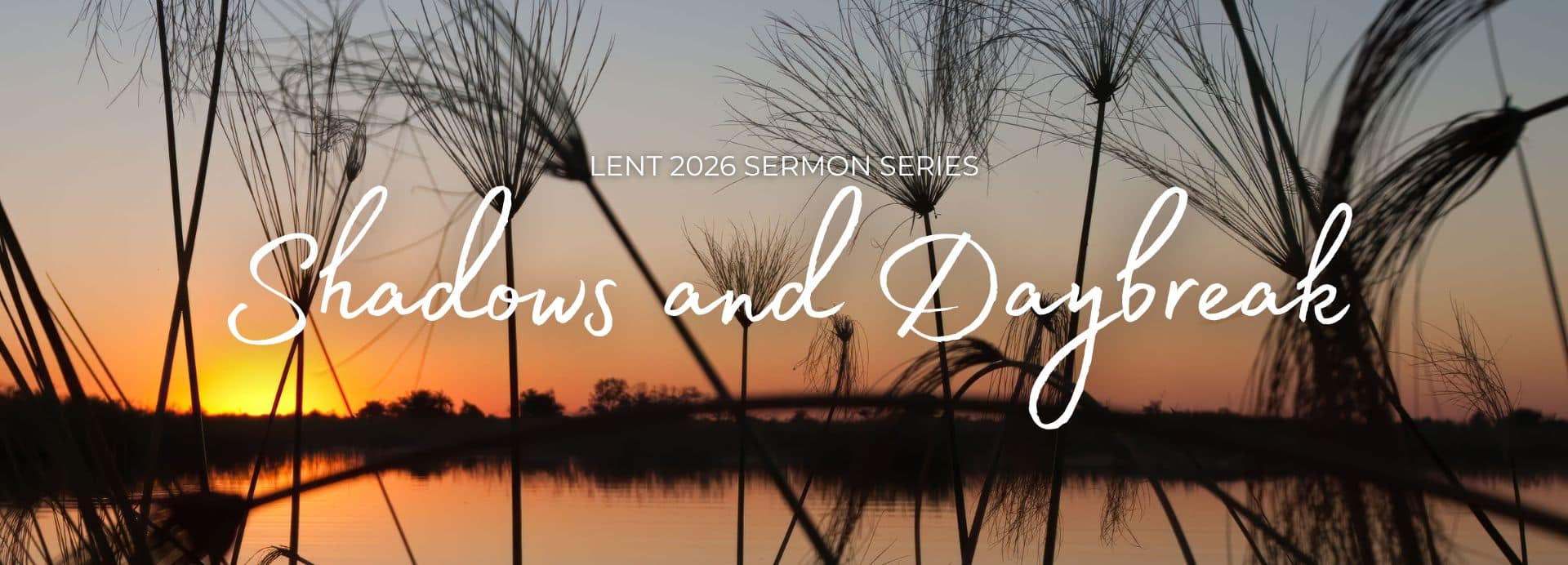 Mark (1920 x 682 px)